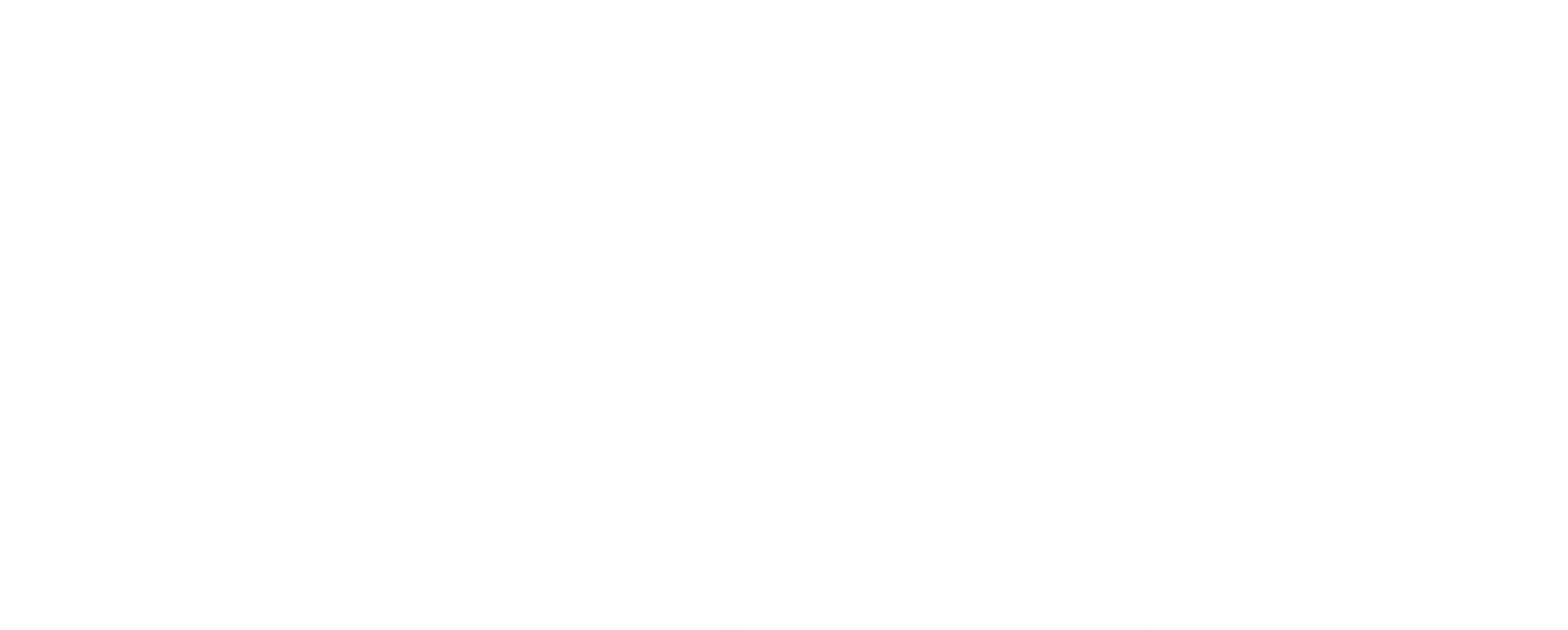 Hire Litigation lawyers